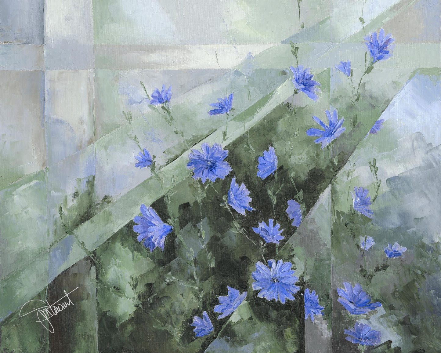 Chicory