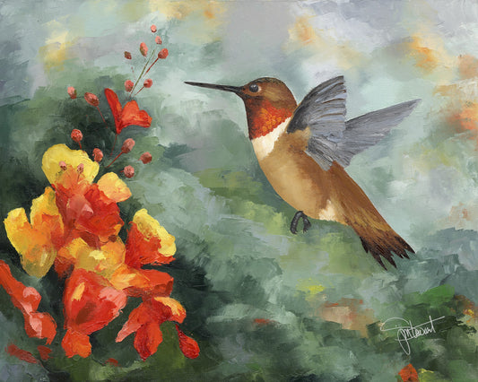 Roufous Humming Bird