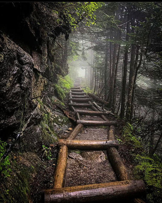 Trillium Gap Trail